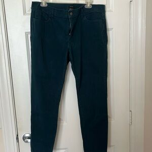 Ann Taylor Modern Pants, Suede Type Material, Green/Teal, Women 14